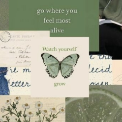 Butterfly<3