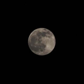 moonzguide