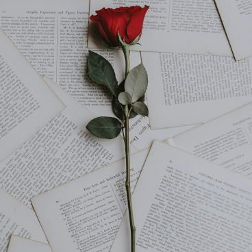 Knoxx.Prose