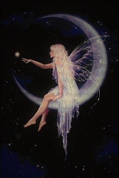 fairylights_
