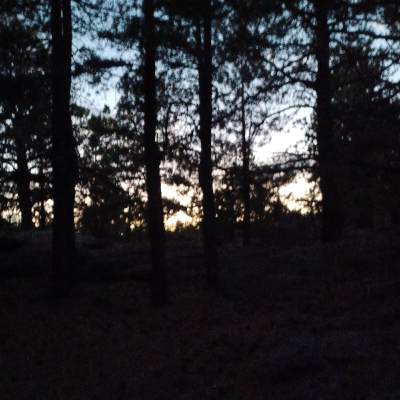 Elijah K.