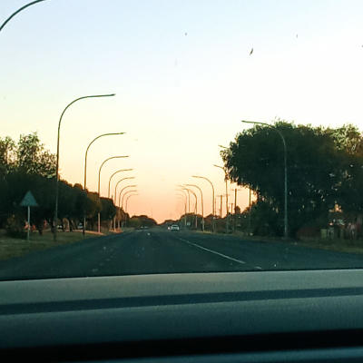Honey