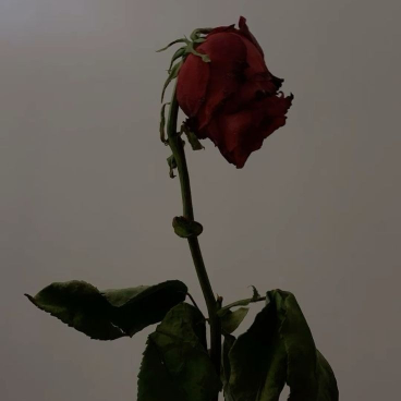 AJK