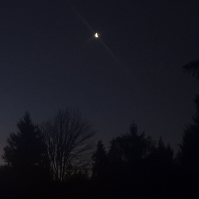 ShinyDarkPoet