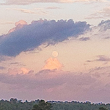 Lover's Eye