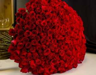 admire_you