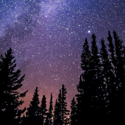 Midnightstars ✨