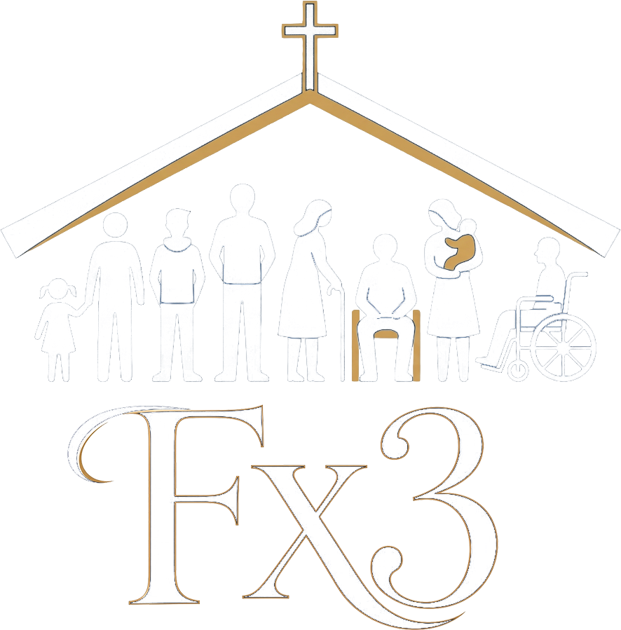 FX3