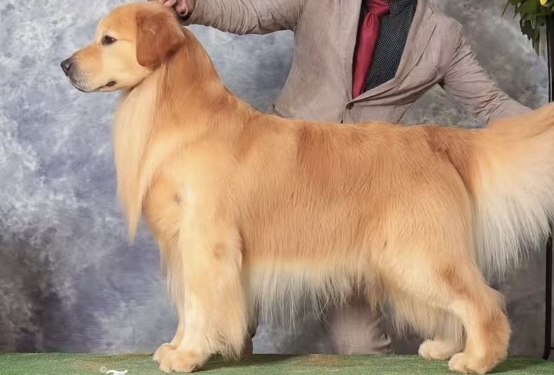 Kaiserの写真