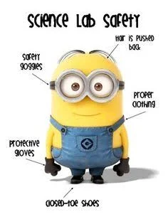 Chemistry Lab Safety True or False