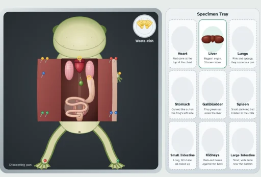 Virtual Frog Dissection