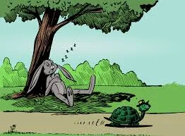 Tortise and the Hare 1st Grade