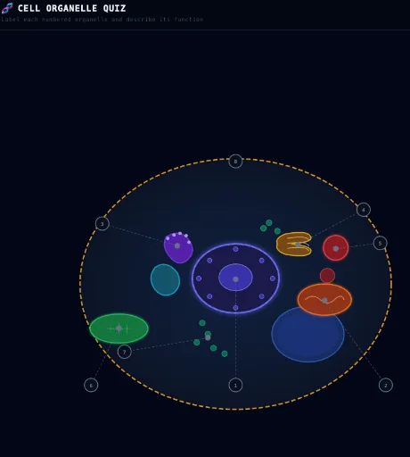 Cell Organelle Quiz
