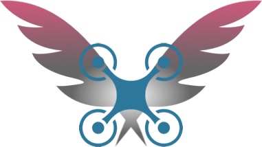 The ICaiRUS Project