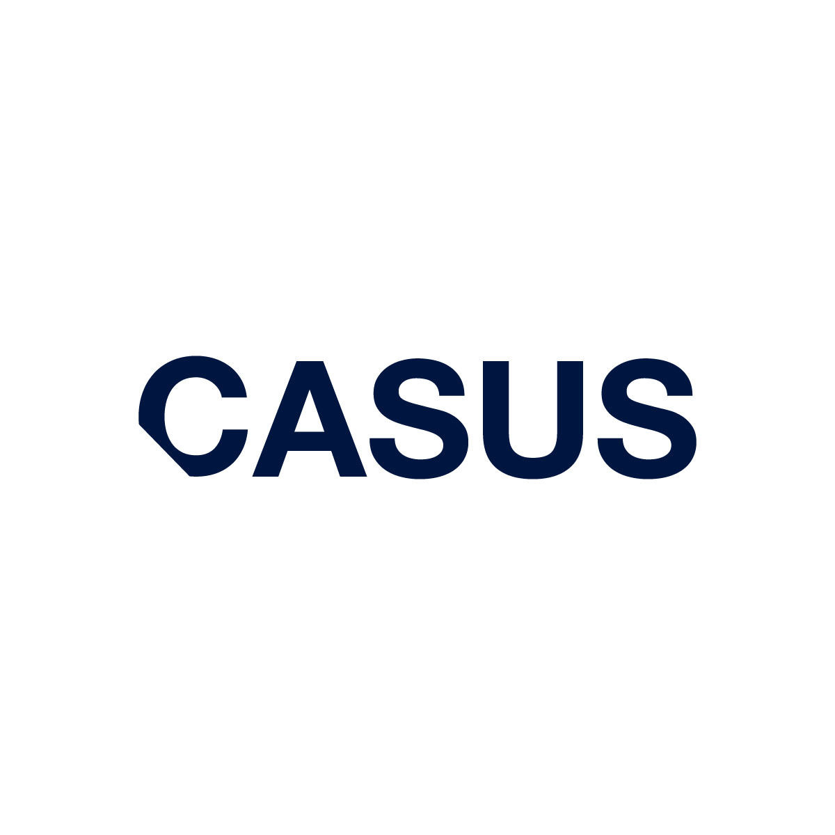 CASUS Technologies AG