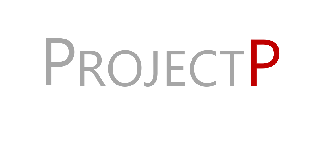 Project P (Project Name)