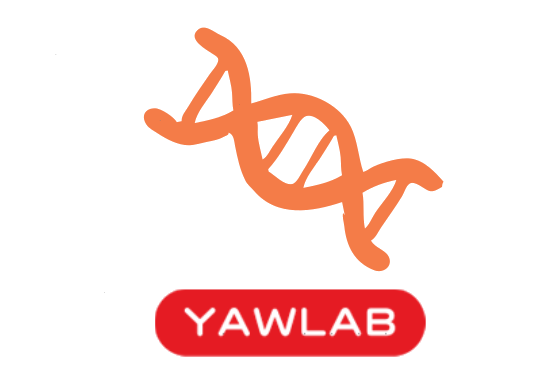 Yawlab