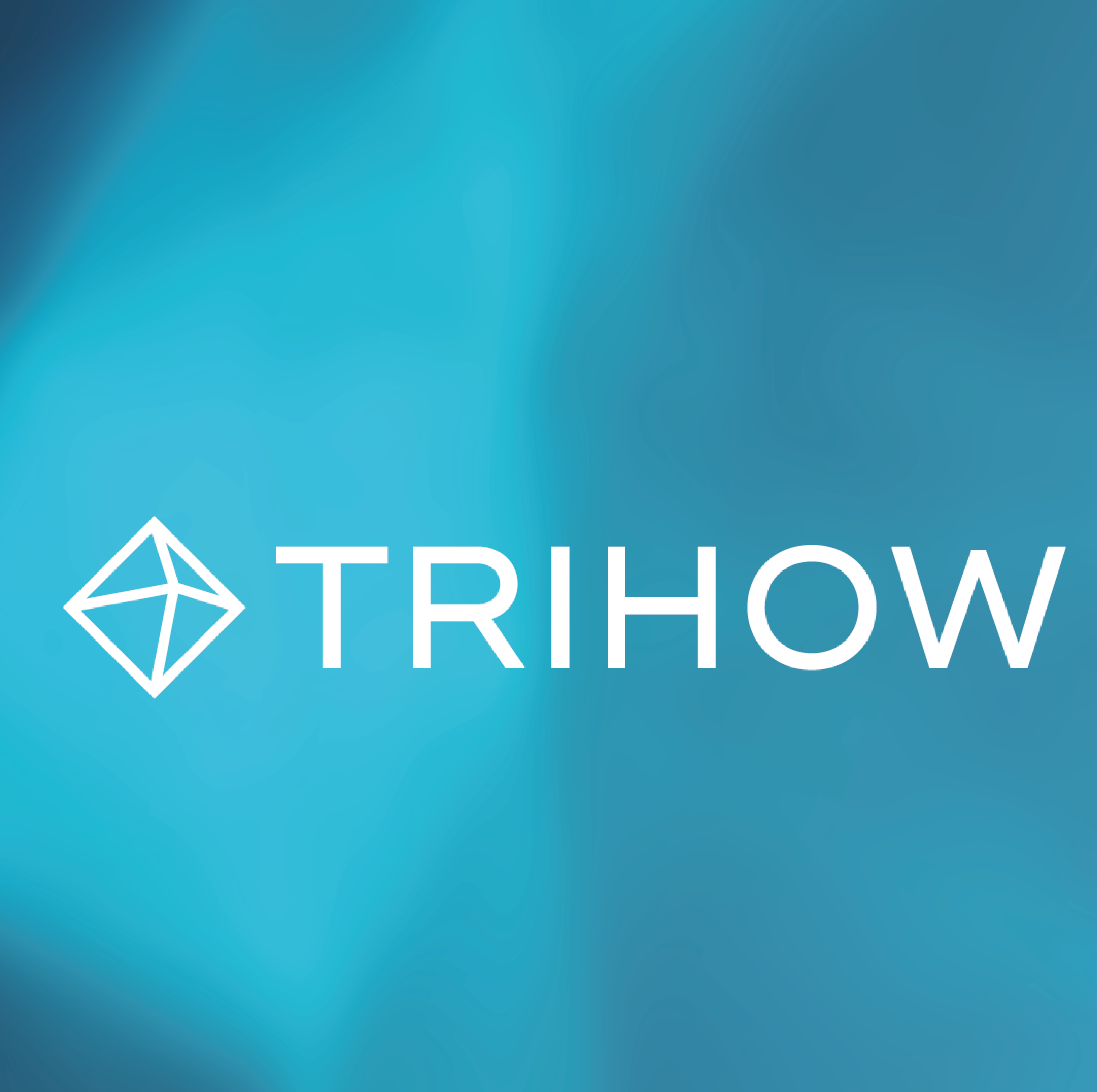 Trihow AG