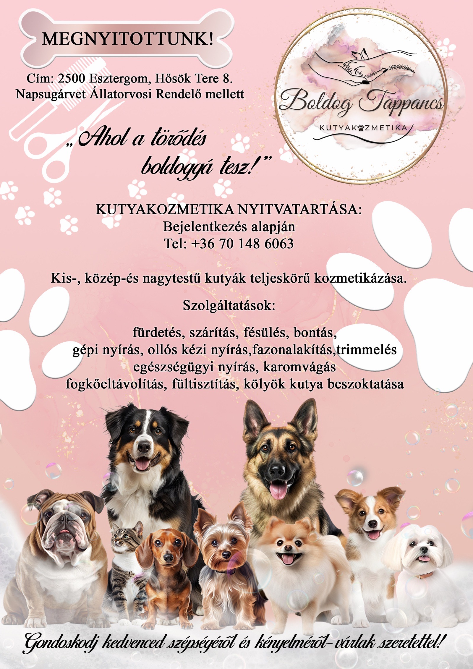 Boldog Tappancs kutyakozmetika