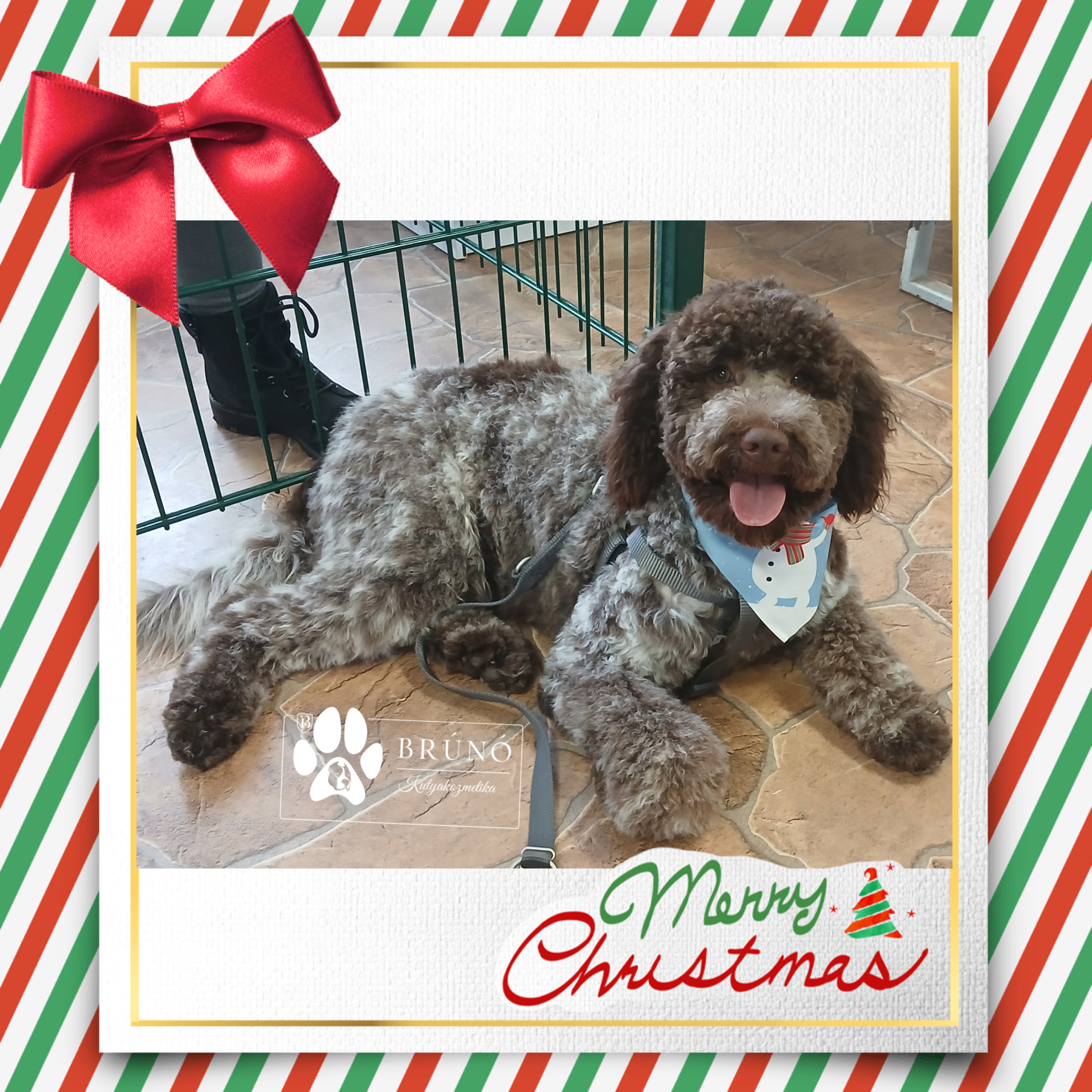 Brúnó Kutyakozmetika