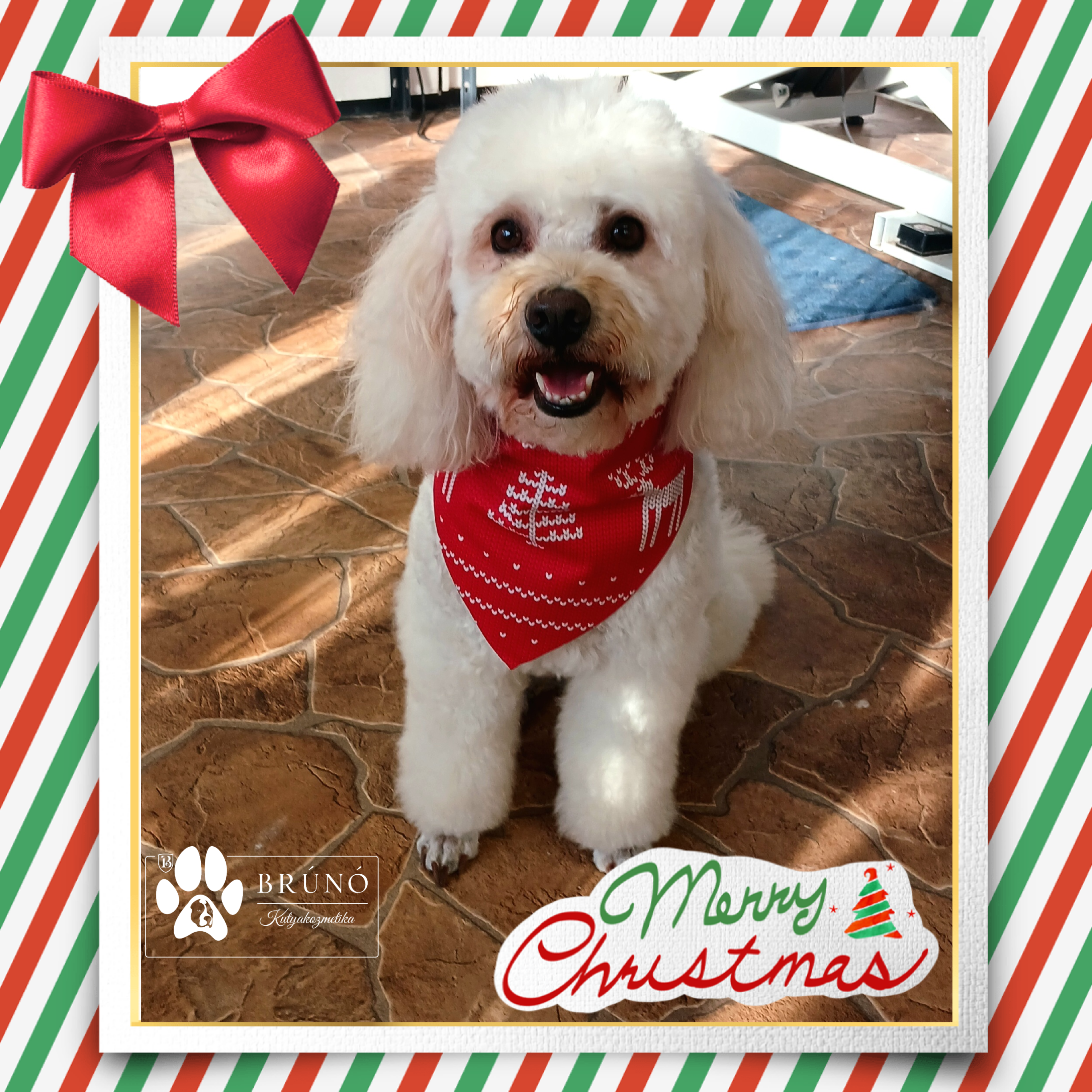 Brúnó Kutyakozmetika