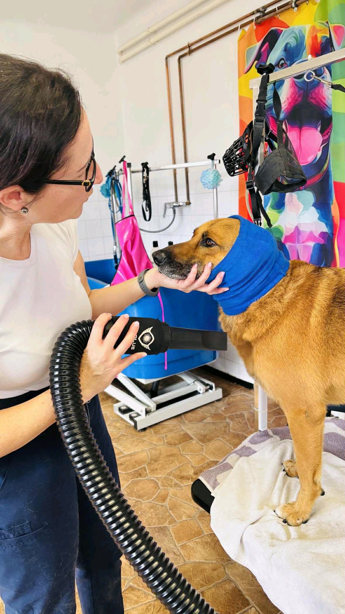 Brúnó Kutyakozmetika