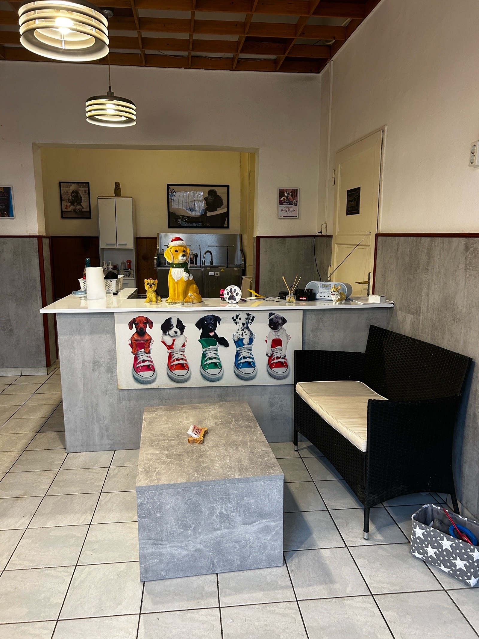 Kerepeczi-Kemény Kinga