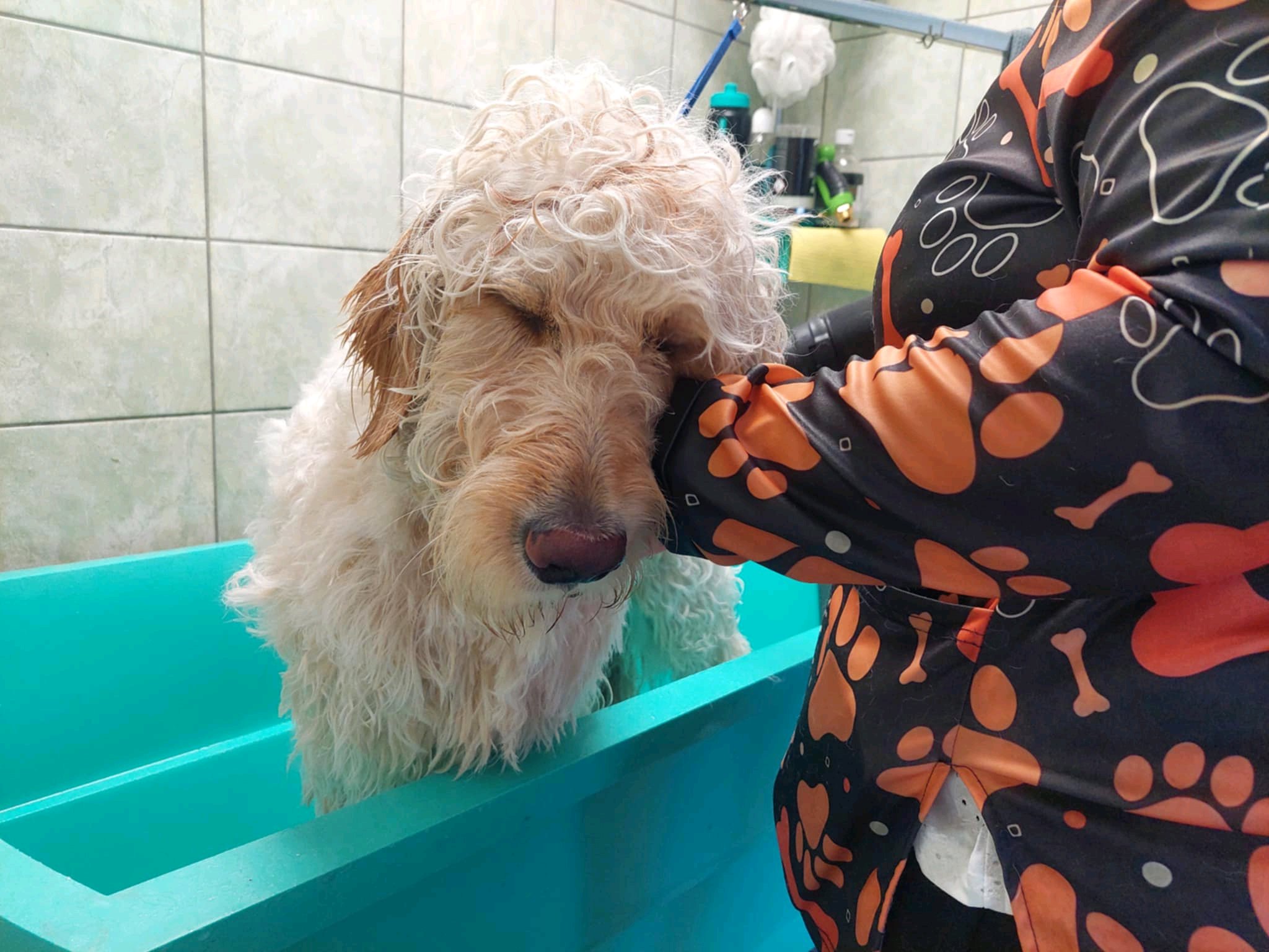 Top'illa Kutyakozmetika