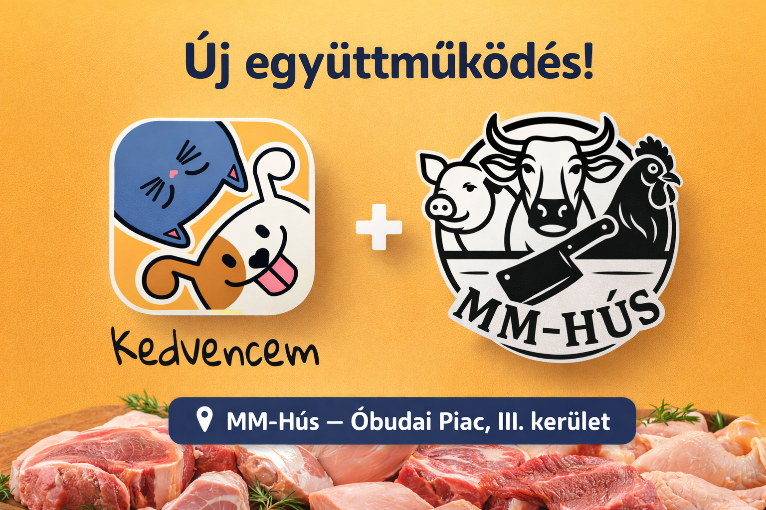 Új együttműködés a Kedvencem Appban