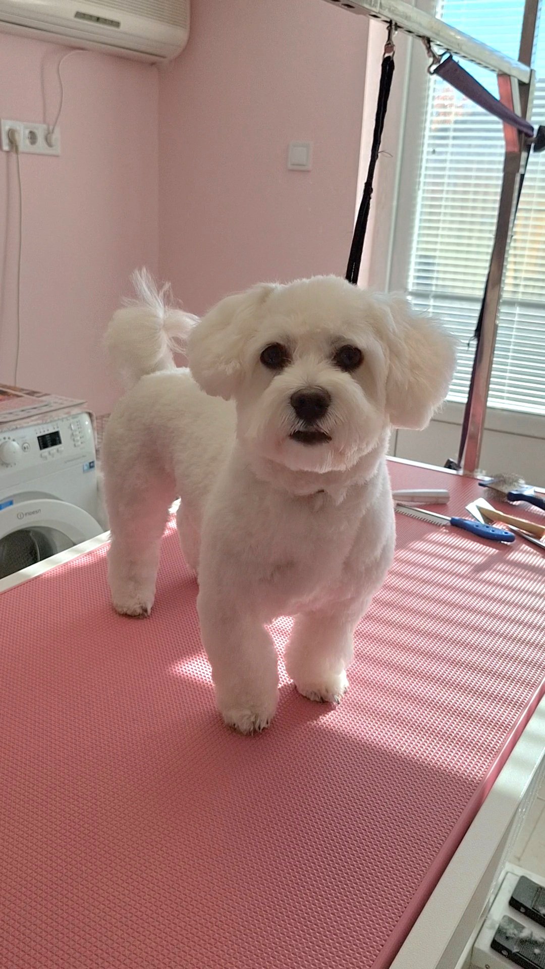 5435 Martfű Zöldfa út 2.