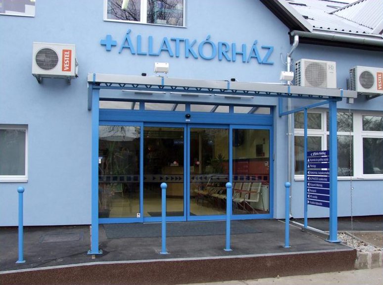 Alpha-Vet Állatkórház profilképe