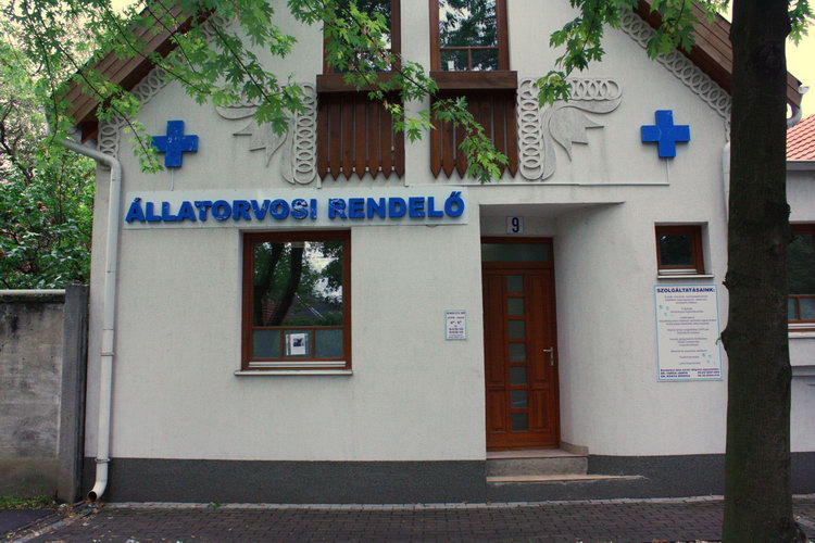 Ambuláns Kisállatrendelő profilképe