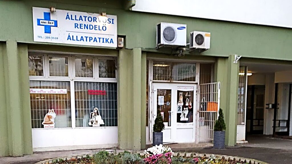 Jelenlegi fotó