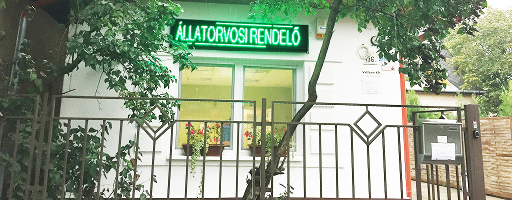 Babóca Állatorvosi Rendelő galéria kép