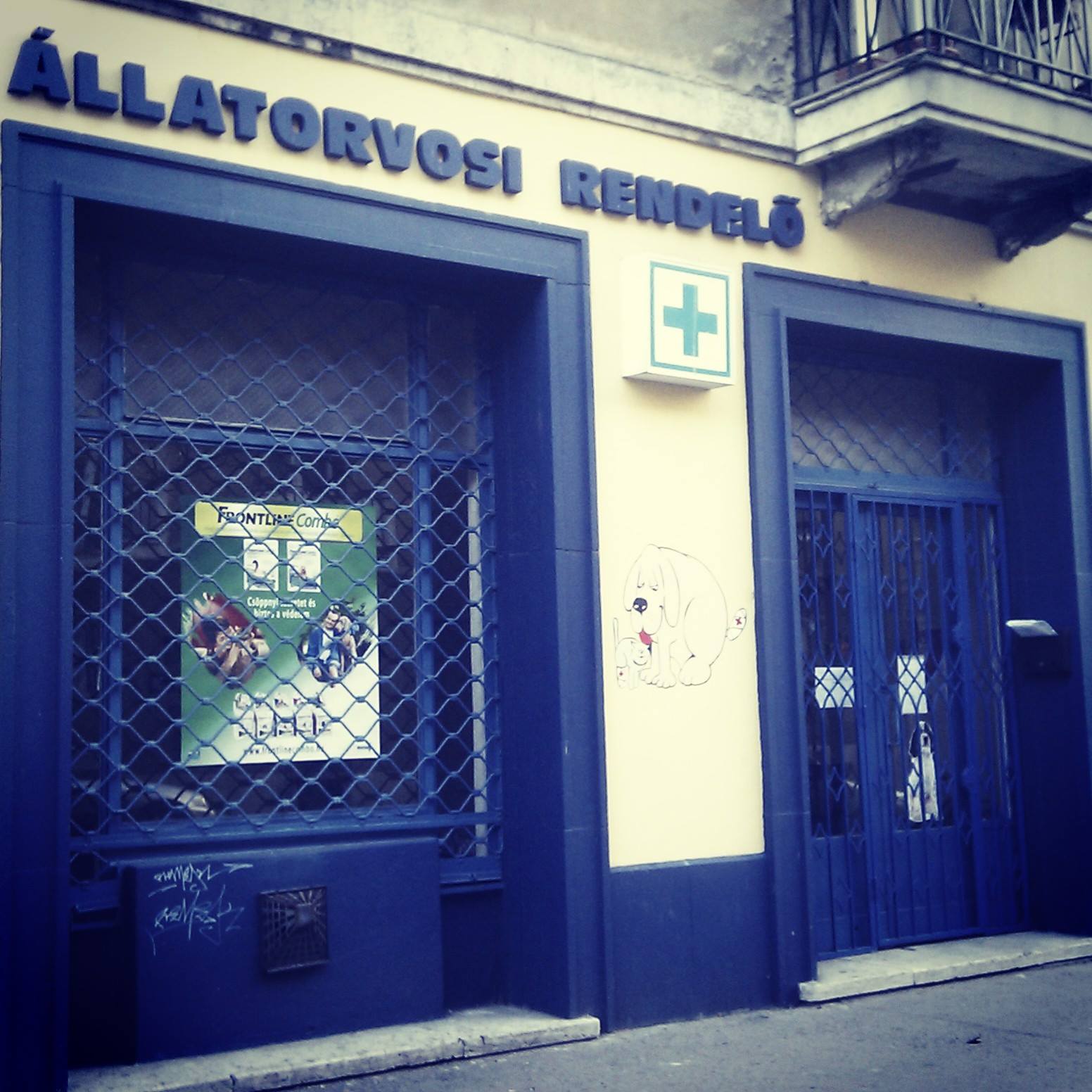 Bell Állatorvosi Rendelő profilképe