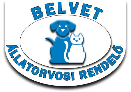 BELVET Állatorvosi Rendelő profilképe