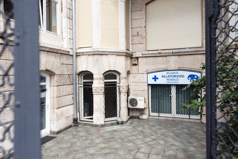 Belvárosi Állatorvosi Rendelő - Budapest