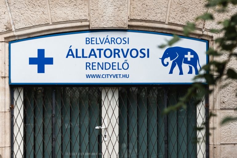 Belvárosi Állatorvosi Rendelő - Budapest galéria kép