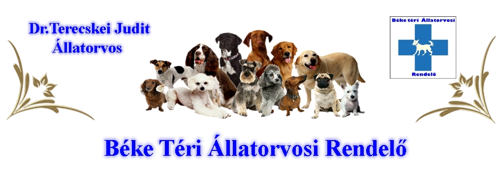 Béke téri Állatorvosi Rendelő