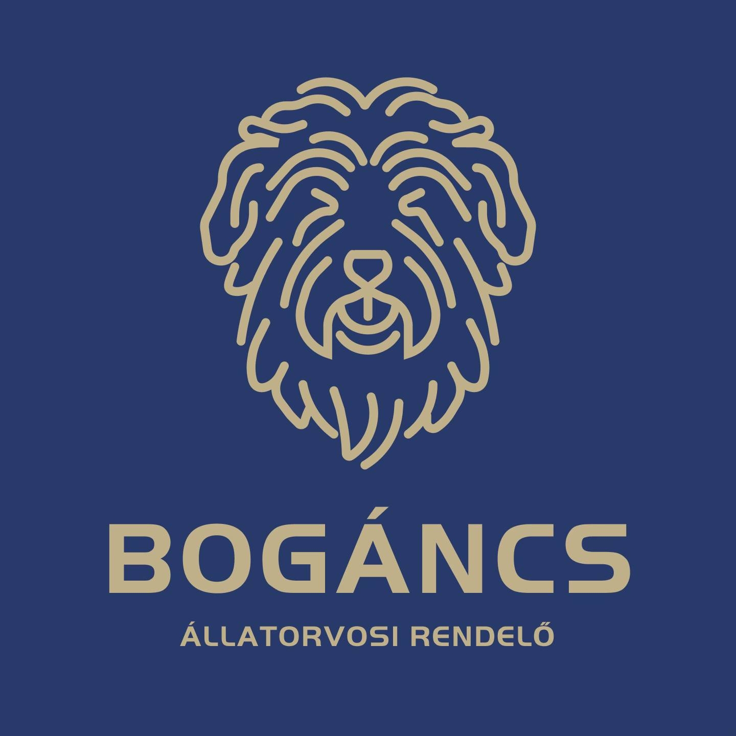 Bogáncs Állatorvosi Rendelő