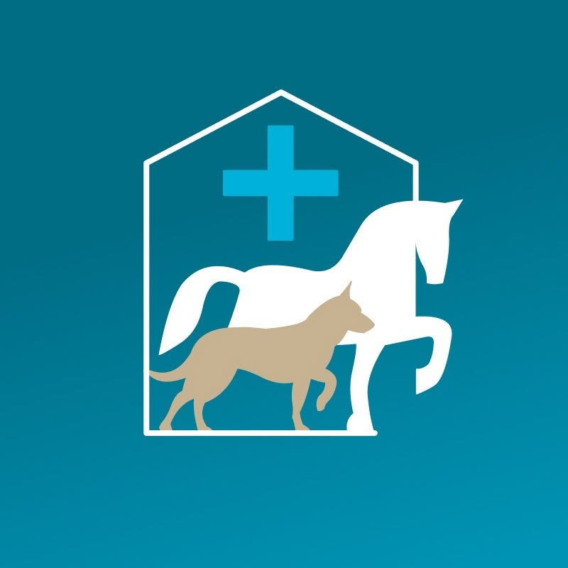 Canequivet Állatorvosi Rendelő