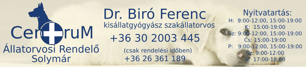 Centrum Állatorvosi Rendelő - Solymár gallery image