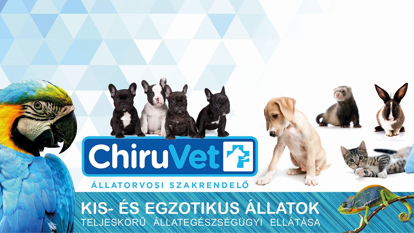 Chiru-Vet Állatorvosi Rendelő