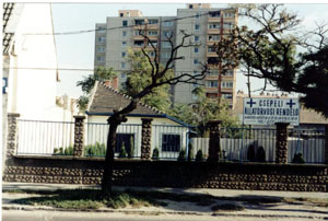 Csepeli Állatorvosi Rendelő