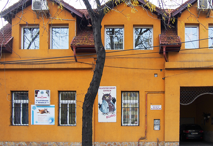 DR. BUBÓ Állatgyógyászati Centrum gallery image