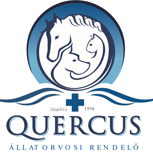 Quercus - Tölgyesi Állatorvosi Rendelő