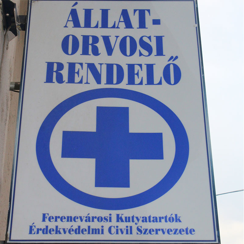 Knézich állatorvosi rendelő