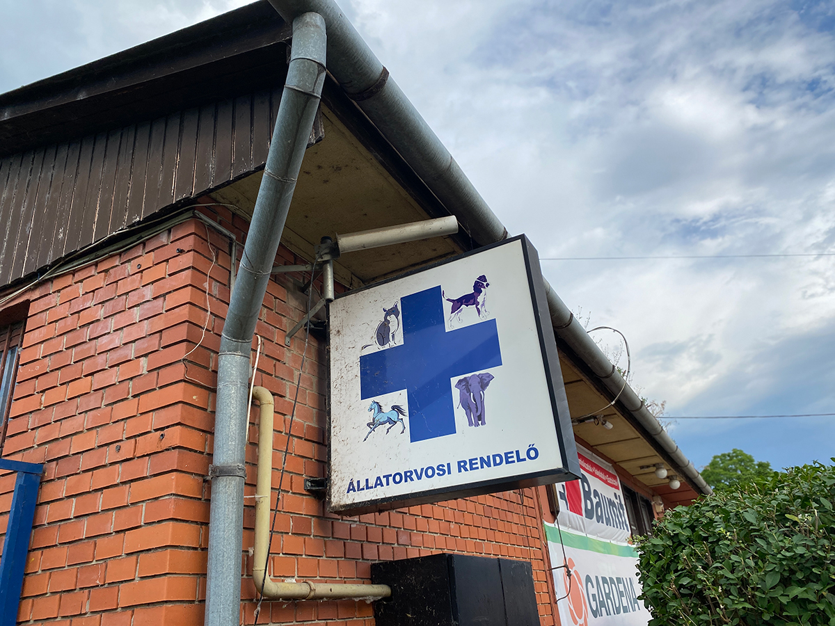 Őrbottyáni Állatorvosi Rendelő és Rehabilitációs Központ