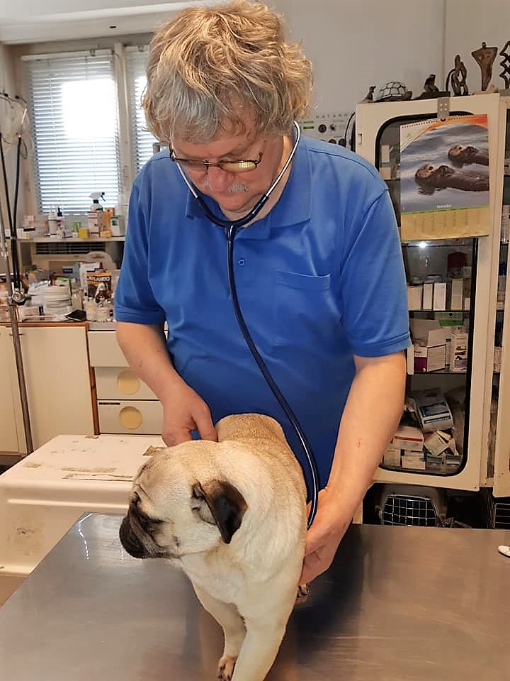 Curiositas Bt. rendelő