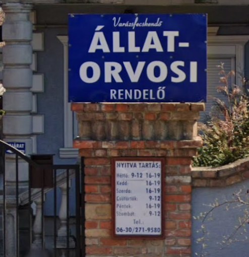 Varázsfecskendő Állatorvosi Rendelő